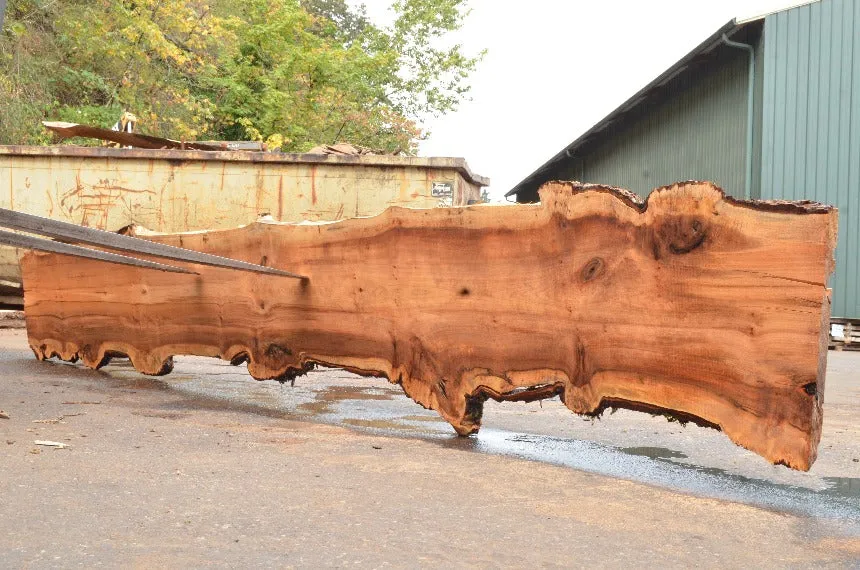 Big Leaf Maple Slab 091222-02