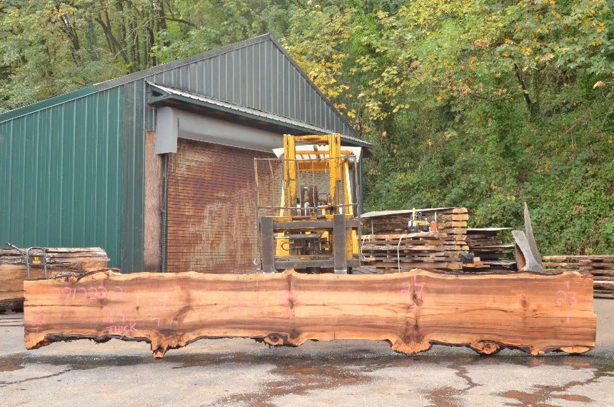 Big Leaf Maple Slab 091222-02