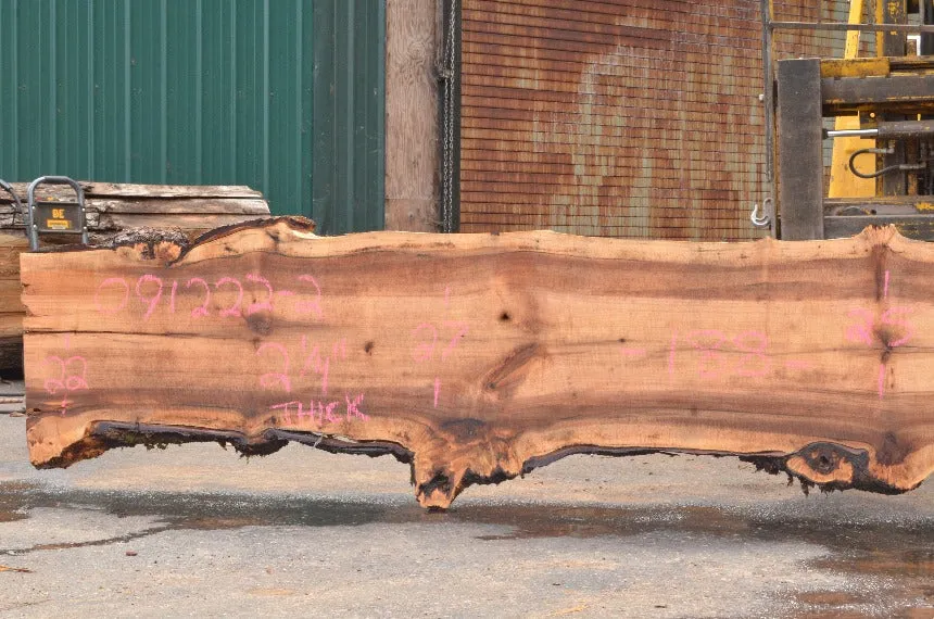 Big Leaf Maple Slab 091222-02