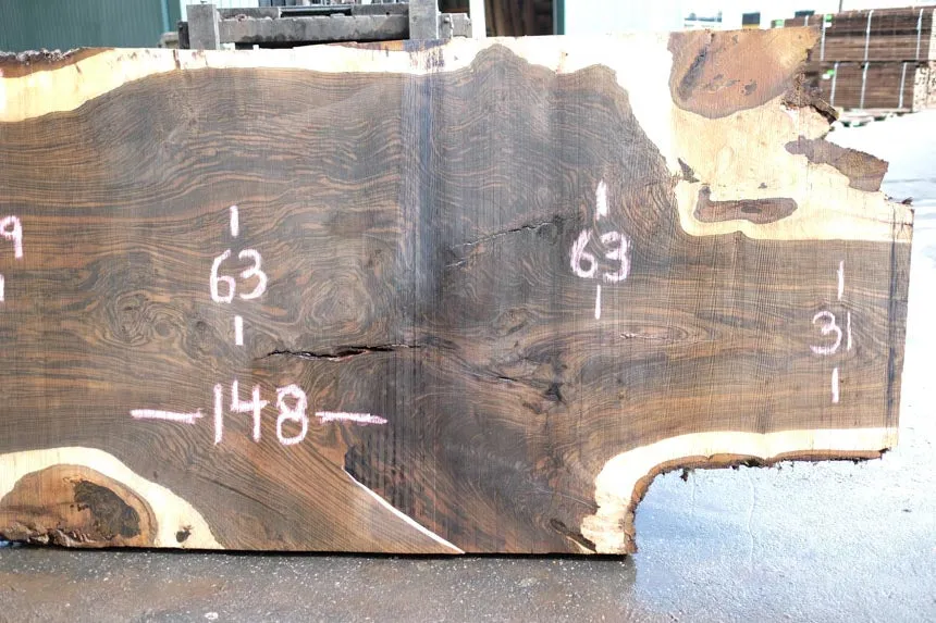 Oregon Black Walnut Slab 042623-02