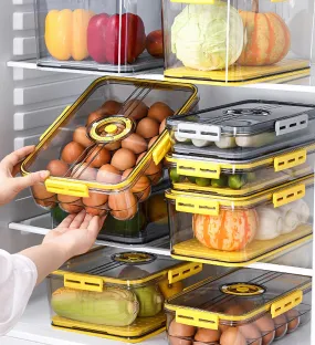 Refrigerator Food Storage Container