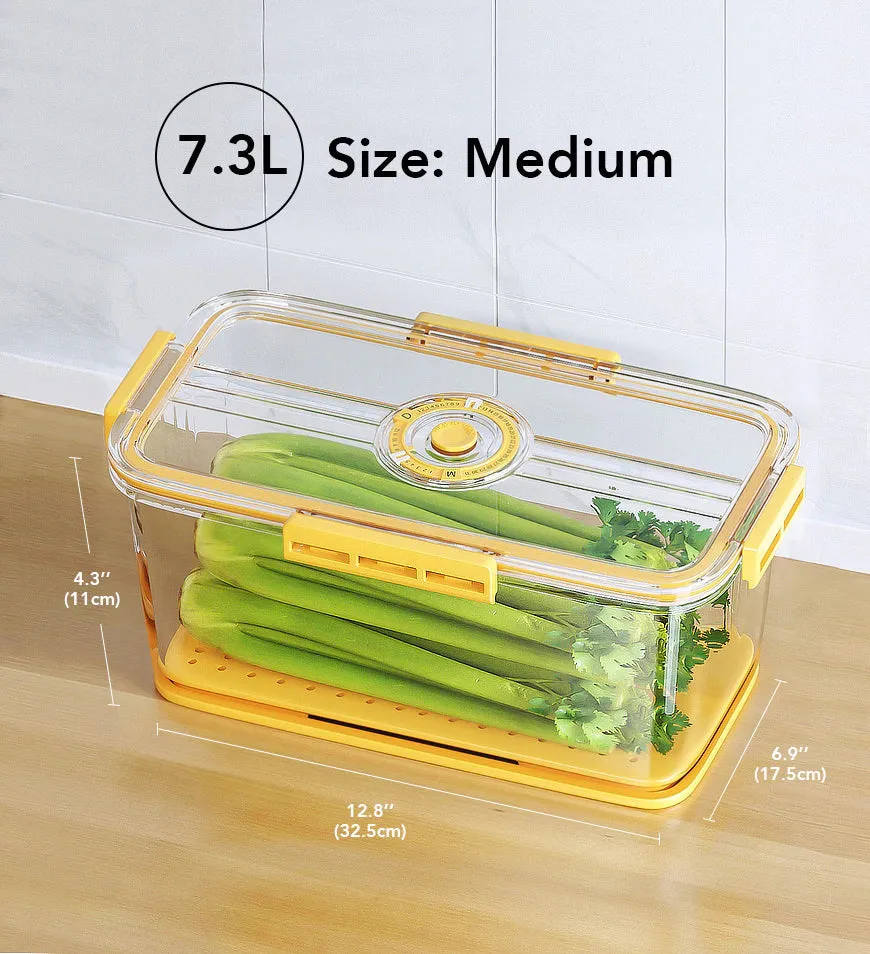 Refrigerator Food Storage Container