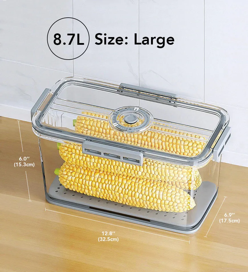 Refrigerator Food Storage Container