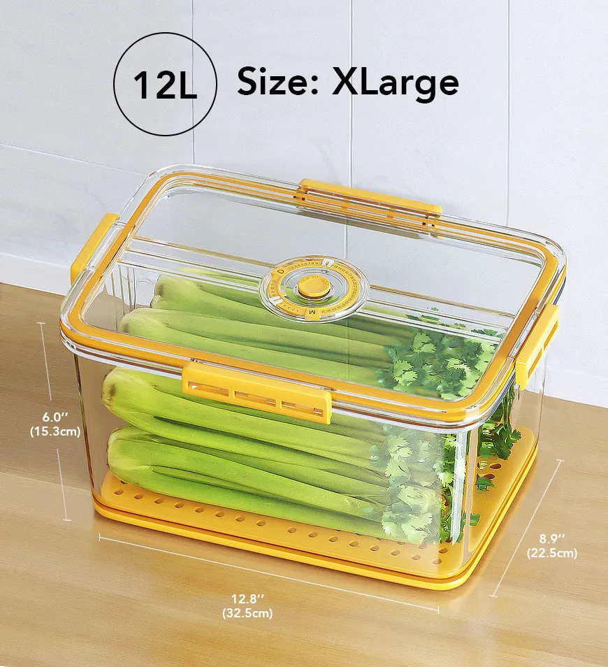 Refrigerator Food Storage Container