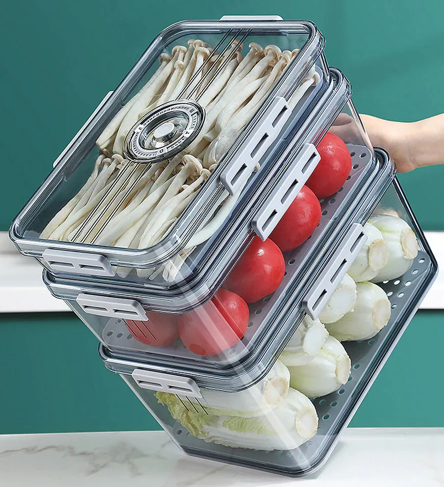 Refrigerator Food Storage Container