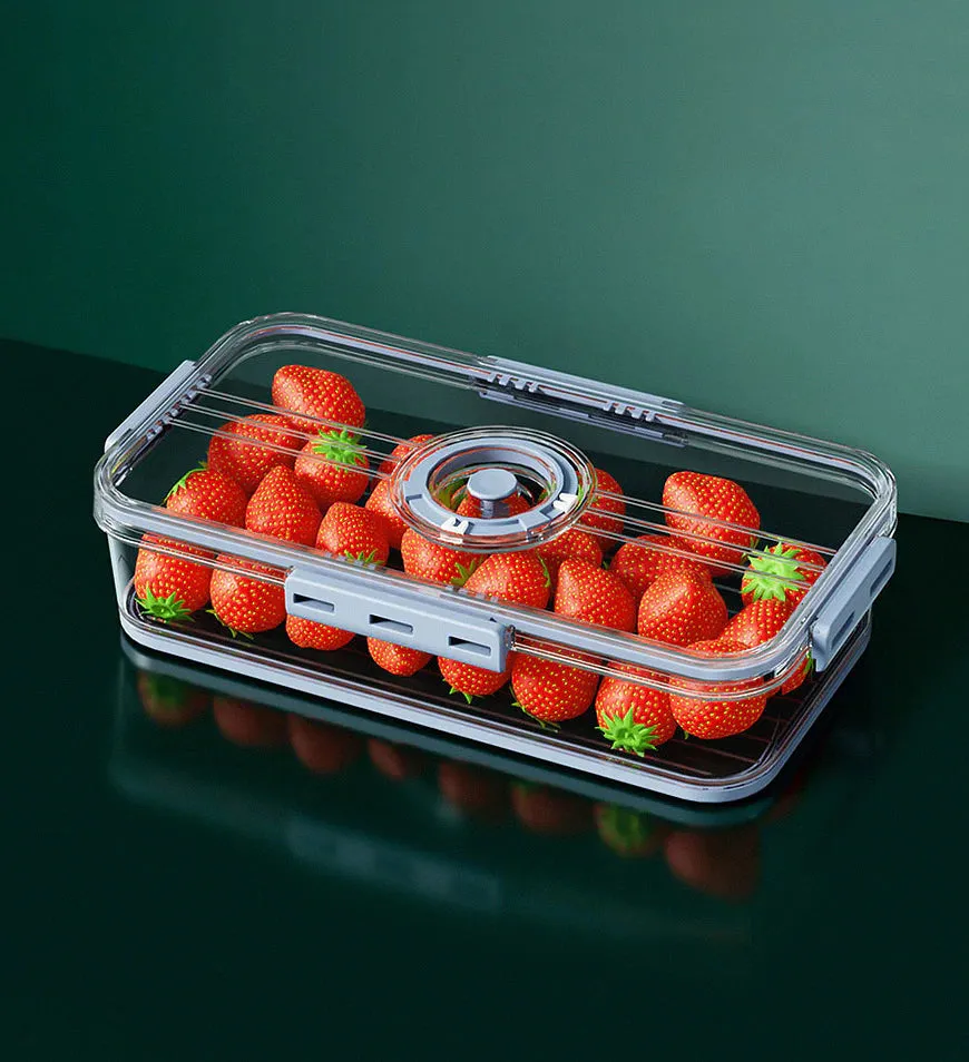 Refrigerator Food Storage Container