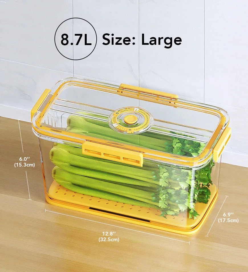 Refrigerator Food Storage Container