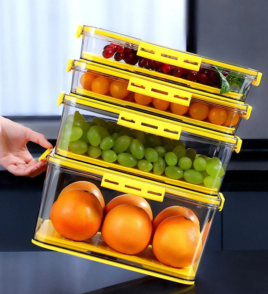 Refrigerator Food Storage Container