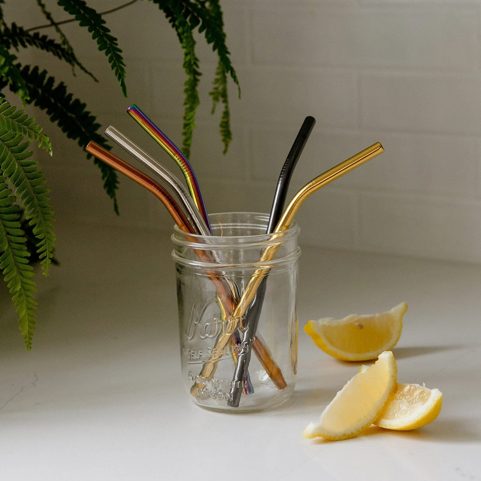 ZeroWasteStore Stainless Steel Straw - Straight, Bent, or Boba Style