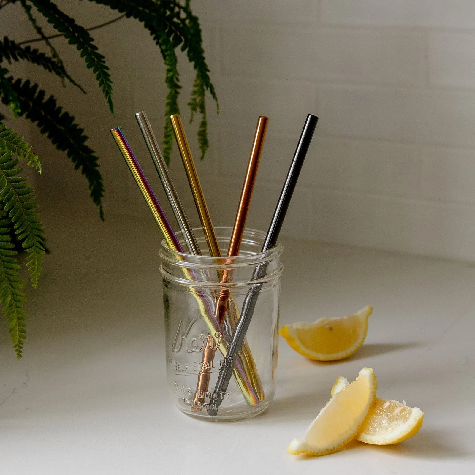 ZeroWasteStore Stainless Steel Straw - Straight, Bent, or Boba Style